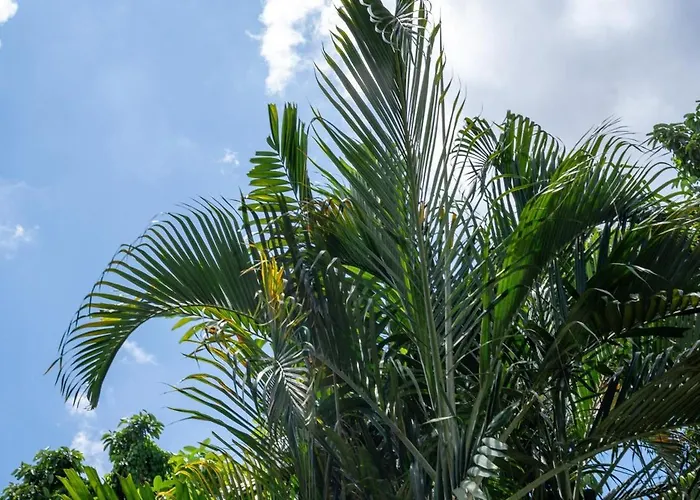Prime Location 3br Pool * Seminyak